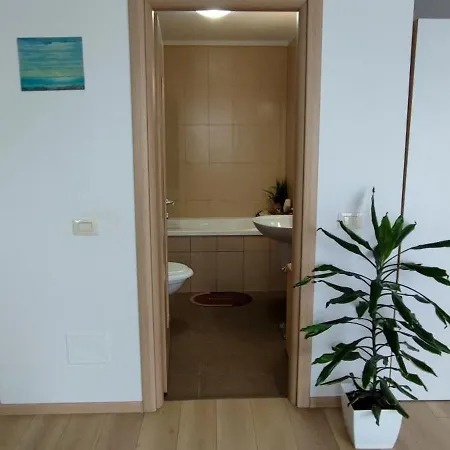 Studio Top City Apartment Brasov